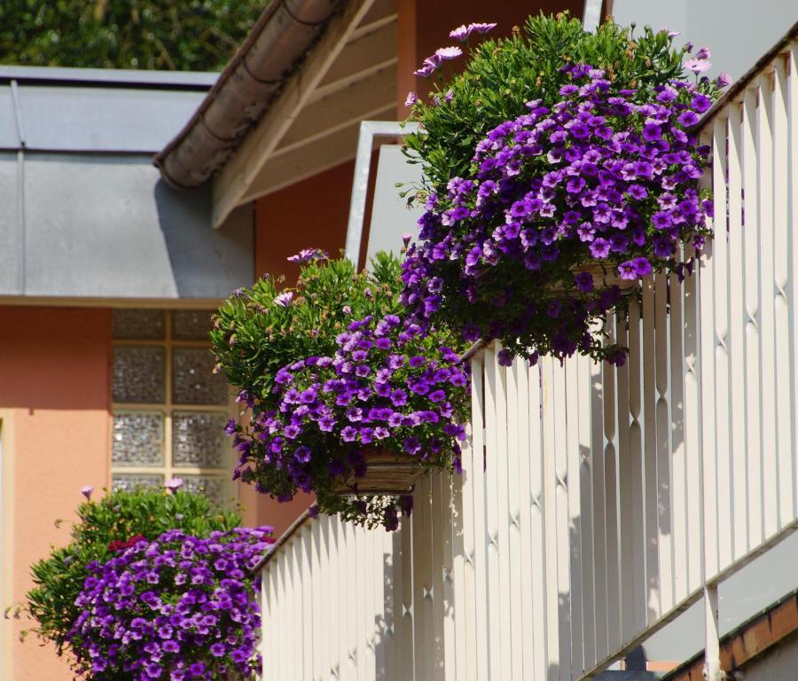 Hotel Morgensonne Badenweiler Zewnętrze zdjęcie